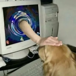 Семечко.ˊˊ🍈