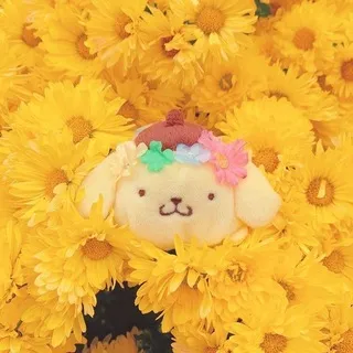 🍮Pompomporin confеssion🍮
