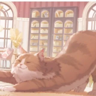 let’s play with cats ！！