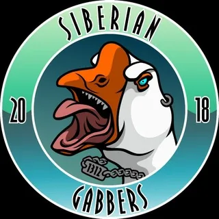 Siberian Gabbers 5 Years