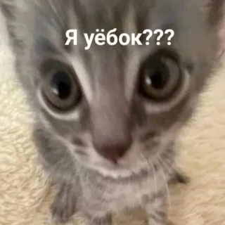 детский сад клюквы