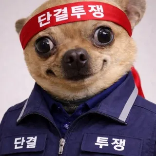 존토방