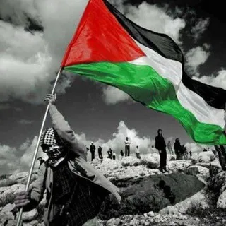 Hamas Online English Mirror