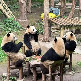 凯发·代理活动规则