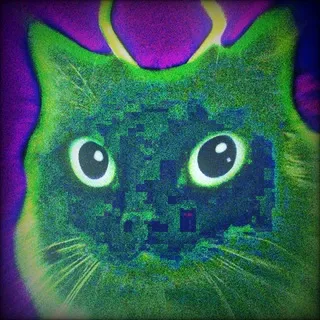 ⋆｡𖦹°˚𝑫𝒐𝒛𝒂 c𝒊𝒅𝒓𝒂 ᶻ 𝗓 𐰁