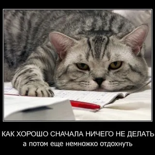 Мои услуги