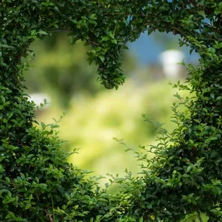 🌿 Garten Eden 🌿