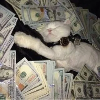Zee's | +40 Vouches