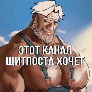 Щитпост Бирзича