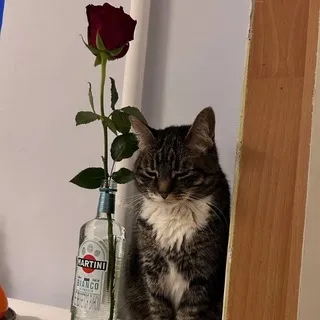 Убогий Праздник
