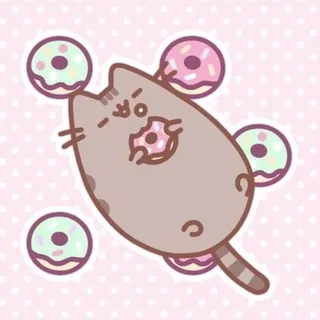 🌸 𝓟𝓾𝓼𝓱𝓮𝓮𝓷 𝓬𝓯-