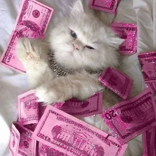 Банки chat