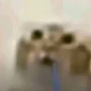Хехе щитпостилка