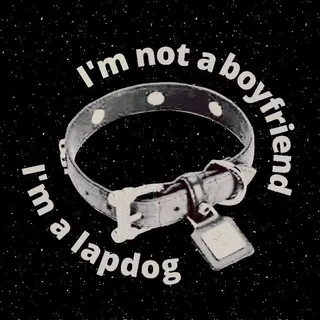 petplay confession (переходник)