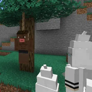 Schizophrenia Mod