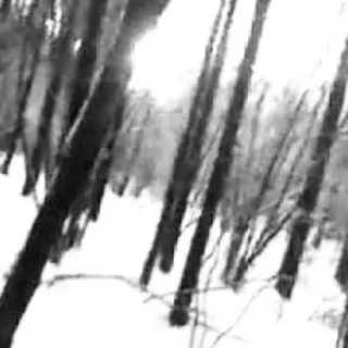 ⃞ꪆ𐑞ུ𝓚𝗂𝘰𝘴ℎ𝑖ㅤׅׄ͜͡ ࣪ ⏜ׄ‌꯭۫𝗂𝗻𝒇𝓸👣