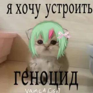 🌸VAHILA [16+]