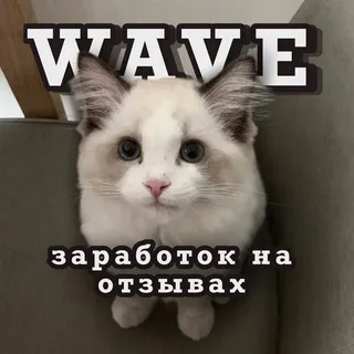 WAVE |заработок на отзывах