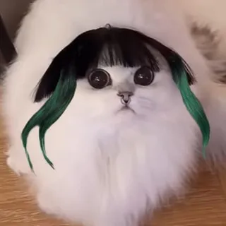 крошка киви
