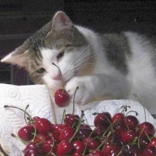 𝘙𝘶𝘴𝘬а 🍒