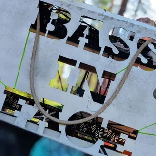 BASS IN FACE 💿🤖🔊 вечеринки, фестивали в СПб и Лен области