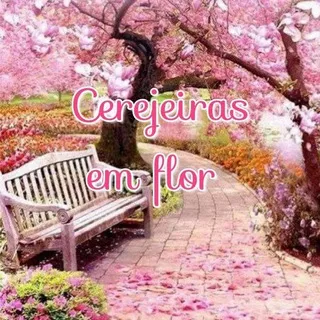 CEREJEIRAS EM FLOR 🌸