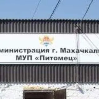 МБУ Служба по работе с бродячими животными
