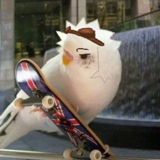 Кофеман