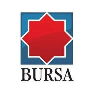 Ziarul BURSA