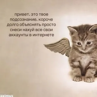 Щп/ Безе жива🔶