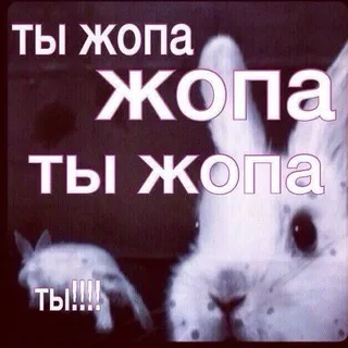 FÍFA>)