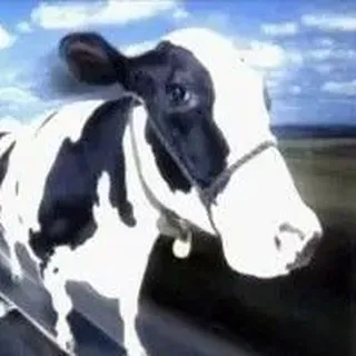 длбнщп