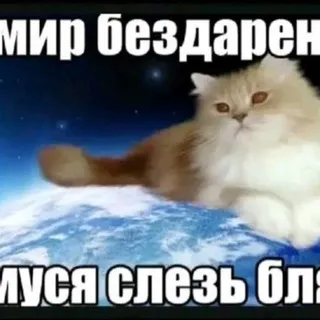 Сомся