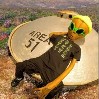 51