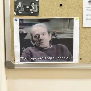 жидкое каркаде