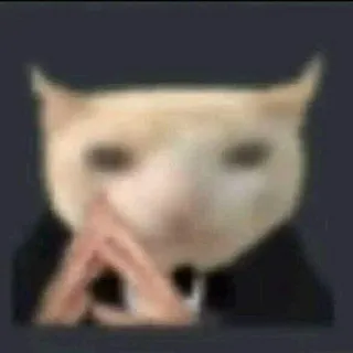 jjaniff