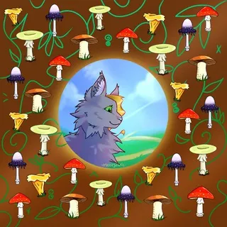 🌿🍄𝐂𝐫𝐨𝐜𝐨𝐳𝐲𝐚𝐛𝐫𝐢𝐬 | 𝐨𝐟𝐟𝐢𝐜𝐢𝐚𝐥🍄🌿