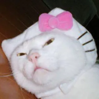 Xynchannel