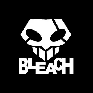 BLEACH ZINE ✂️⛓‍💥