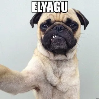 elyagu beatstore