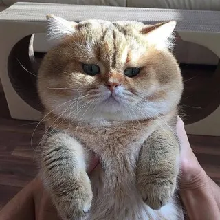 Сладкая булочка