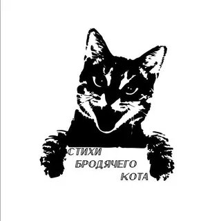 Стихи Бродячего кота.