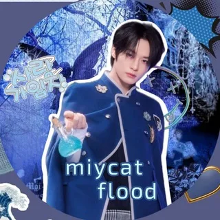 Miycat info