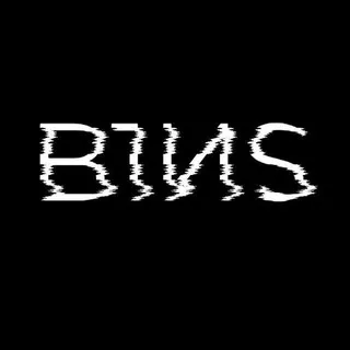 B1NS