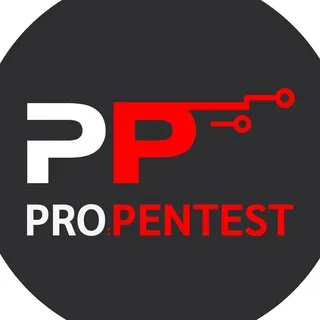 PRO:PENTEST Chat