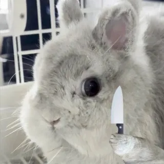 Г. Кумчатка