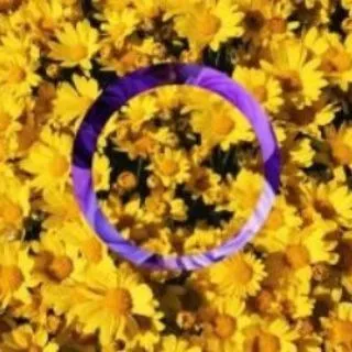 INTERSEX [Outside of LGBT]