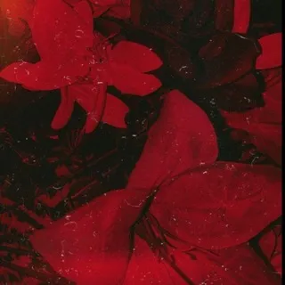 (В отпуске лол)🍷Kess life and other🥀