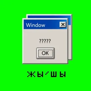 ЖЫ ШЫ