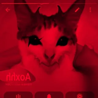 Aoxhh